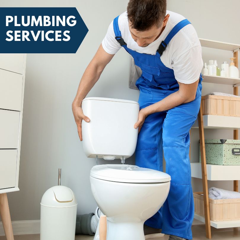 Plumbing Company in Tecumseh, MI